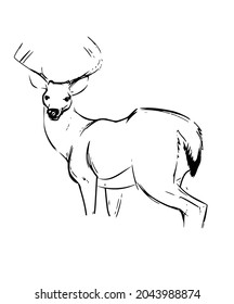 línea de diseño de vectores blanco y negro de fondo