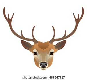 Vector deer face isolated on white wild animal portrait zoo icon