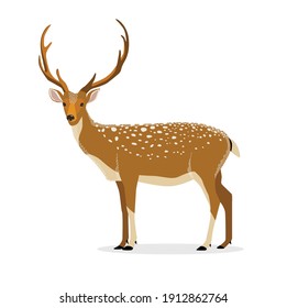 Vector deer. Forest animal. Dappled deer.