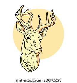 vector - Deer - hand draw , isolated on background
