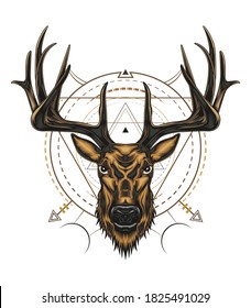 Vector Deer head illustration. animal logo design template.