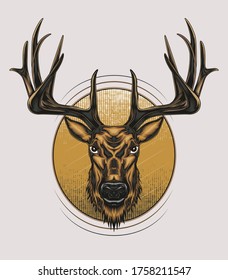 Vector Deer head illustration with ornament design in serious face. T shirt design, Logo, mascot, wall decoration.