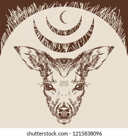 Vector. Deer head with large ears and eyes. Geometric linear animal. Linear graphics. Modern design for advertising, branding greeting card, cover, poster, banner.