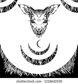 Vector. Deer head with large ears and eyes. Geometric linear animal. Linear graphics. Modern design for advertising, branding greeting card, cover, poster, banner. stag deer head sketch vector