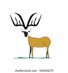 vector of a deer head silhouette isolated on white, eps10 vector
