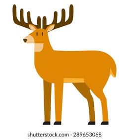 Vector Deer Illustration Isolated On White Background