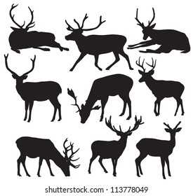 Vector deer silhouette