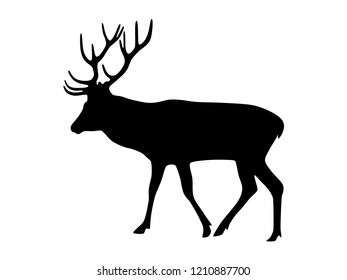 Vector deer silhouette isolated on white. Black shape of deer.