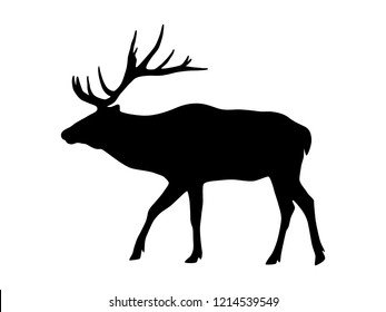 Vector deer silhouette isolated on white. Black shape of deer.