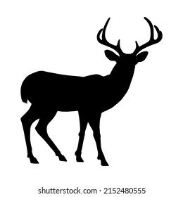 Vector deer silhouette isolated on white background.