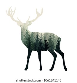 Vector deer silhouette with misty forest in it - wild nature, adventure illustration