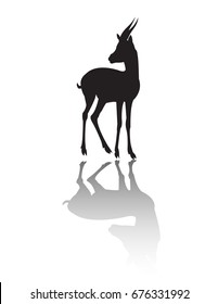 vector deer silhouette with shadow, use for logo or another purpose.