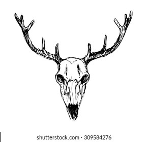 Deer Skull Illustration Drawing Engraving Ink Stock Vector (Royalty ...