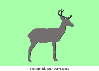 Vector of deer. It still stand. 