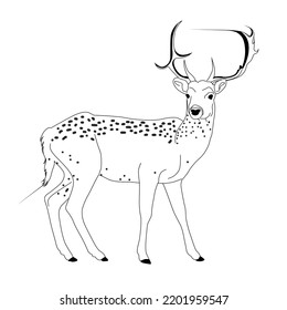 Vector Deer  Very easy to reprocess  can be used for learning education  coloring books  etc