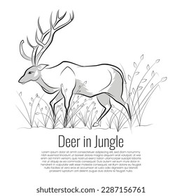 Vector deer walking in jungle, Grass eating animal illustration, A line art of an animal