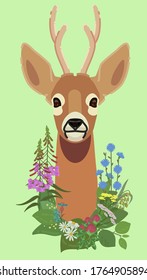 Vector deer with a wreath of wildflowers: fireweed, chamomile, cornflower, chicory.