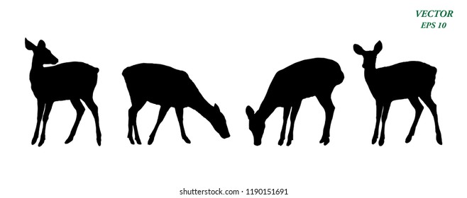 Vector of deers silhouette set, isolated on white background. EPS10