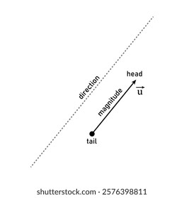 Vector definition in physics and mathematics. Magnitude, tail, head and direction of vector.