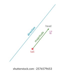 Vector definition in physics and mathematics. Magnitude, tail, head and direction of vector.