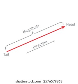 Vector definition in physics and mathematics. Magnitude, tail, head and direction of vector.