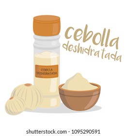 Vector dehydrated onion illustration isolated in cartoon style. Spanish name. Herbs and Species Series
