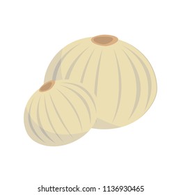 Vector dehydrated onion illustration isolated in cartoon style. Herbs and Species Series