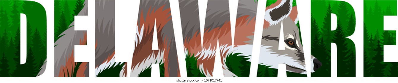 vector Delaware - American state word with grey fox (Urocyon cinereoargenteus)