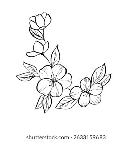 Vector delicate apple blossom with leaves. Hand painted linear contour Japanese cherry, peach, almond flowers. Graphic clipart isolated. Botanical, tattoo and wedding illustration. For designers