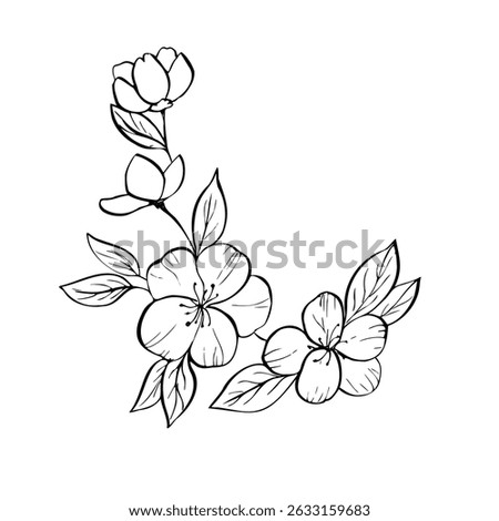 Vector delicate apple blossom with leaves. Hand painted linear contour Japanese cherry, peach, almond flowers. Graphic clipart isolated. Botanical, tattoo and wedding illustration. For designers