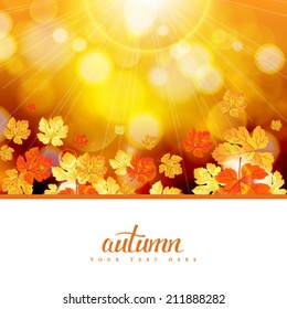Vector delicate autumn sun abstract background.