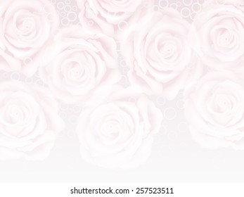 Vector delicate background with  light cream roses and bokeh spotlights