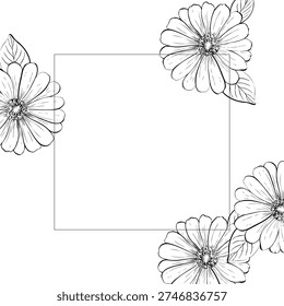 Vector delicate Gerbera frame with leaves. Hand painted linear template, contour chrysanthemum, osteospermum, chamomile flower. Graphic clipart isolated. Botanical, tattoo and wedding illustration