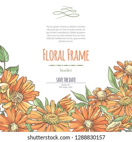 Vector delicate invitation with orange chamomile for wedding, marriage, bridal, birthday, Valentine's day. Floral border with sketch colorful blossoms. Frame with hand drawn flowers