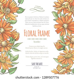 Vector delicate invitation with orange chamomile for wedding, marriage, bridal, birthday, Valentine's day. Floral border with sketch colorful blossoms. Frame with hand drawn flowers
