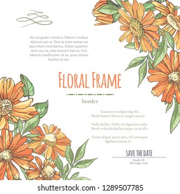 Vector delicate invitation with orange chamomile for wedding, marriage, bridal, birthday, Valentine's day. Floral border with sketch colorful blossoms. Frame with hand drawn flowers