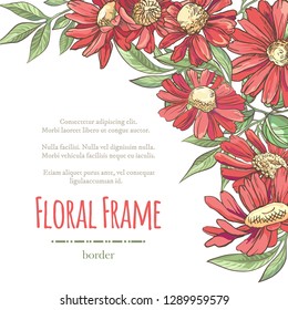 Vector delicate invitation with red chamomile for wedding, marriage, bridal, birthday, Valentine's day. Floral border with sketch colorful blossoms. Frame with hand drawn flowers