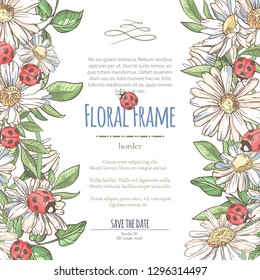 Vector delicate invitation with white camomile and laybugs for wedding, marriage, bridal, birthday, Valentine's day. Floral border with sketch colorful blossoms. Frame with hand drawn flowers