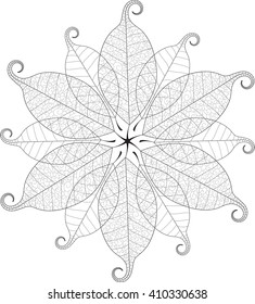 Vector delicate macro leaf mandala. 