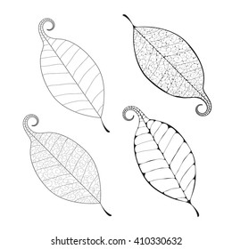 Vector delicate macro leaf venation isolated silhouette. 