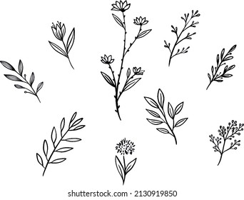 Vector delicate romantic natural hand drawn black and white line art set of illustrations of flowers. Ideal for print, stickers, decoration, posters, fashion and textile and other creative projects.