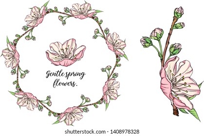 vector delicate spring flower arrangement