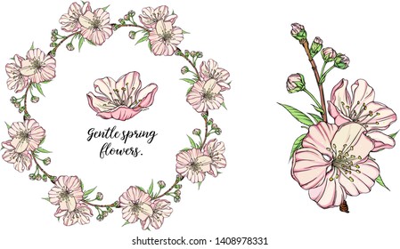 vector delicate spring flower arrangement