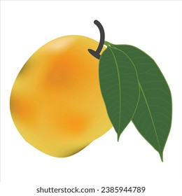 Vector delicious mango ripe yellow, orange  with leaf isolated on white background