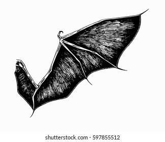 Vector demon wing