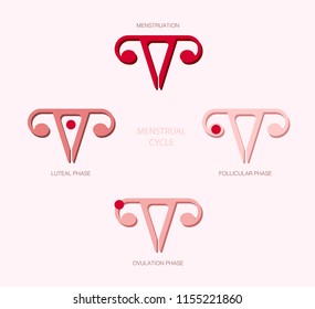 Vector demonstration the phase of the menstrual cycle in a minimal flat style