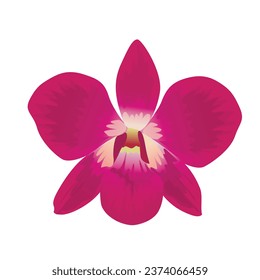 Flor de orquídea dendrobiana vectorial aislada en fondo blanco	