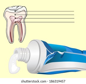 Vector. Dental concept.  tooth and toothpaste.