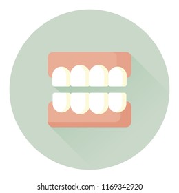vector denture, false teeth for adult / dental cartoon / flat, isolated, sign and icon template