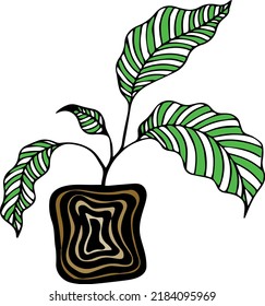 a vector depicting a green and white leafy plant